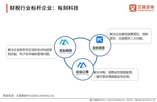 2021上半年中国财税企业服务行业研究报告 信息咨询服务的新趋势与机遇